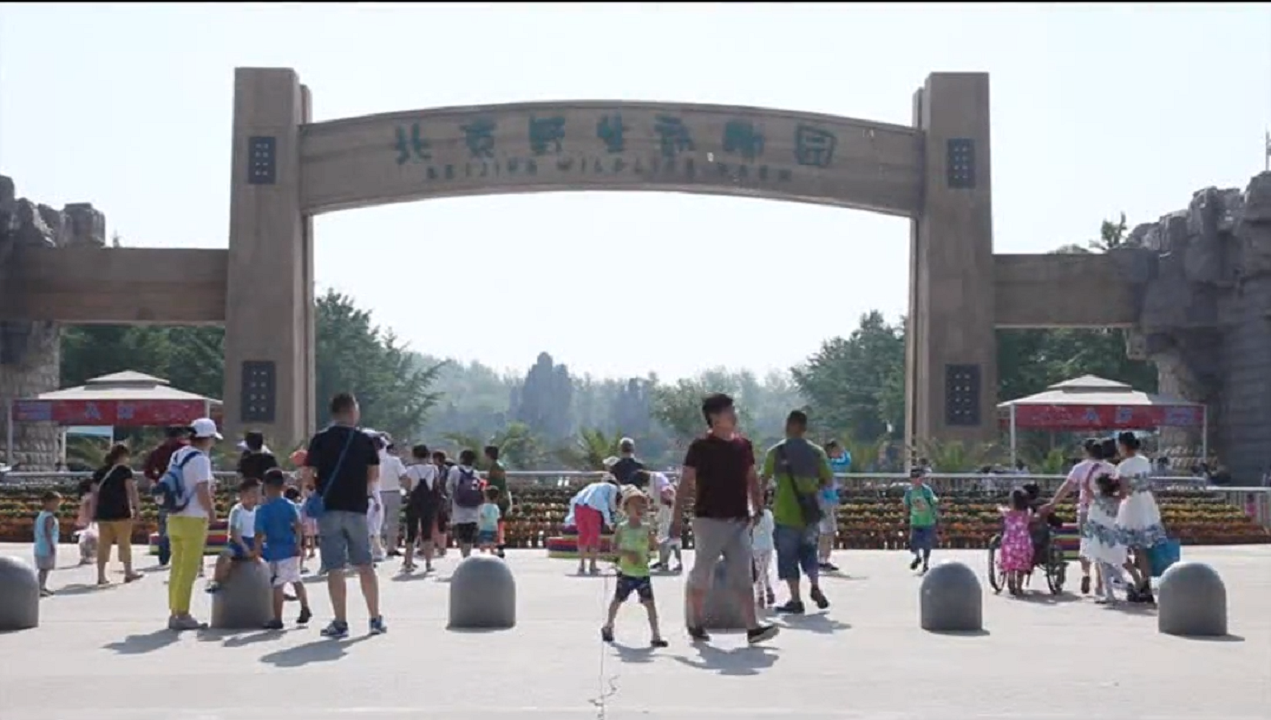 金沙(8087-js认证)娱场城-Officialwebsite