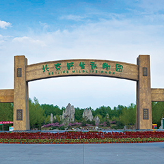 金沙(8087-js认证)娱场城-Officialwebsite